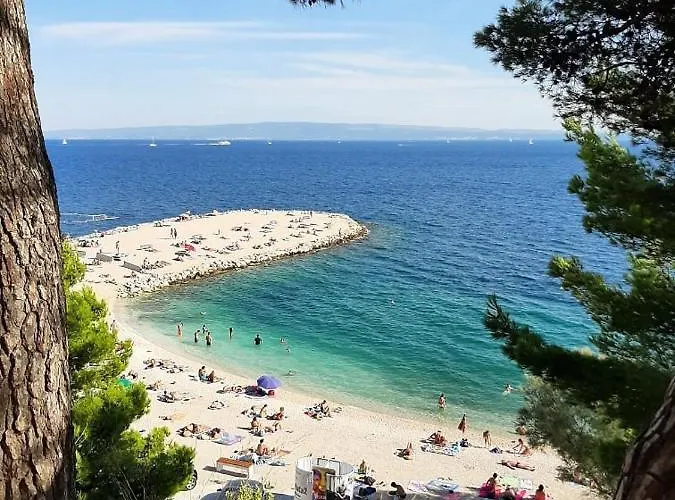 Viking Sweet Apartment